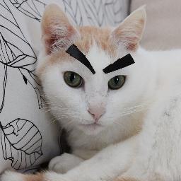 mizoさんのプロフィール画像