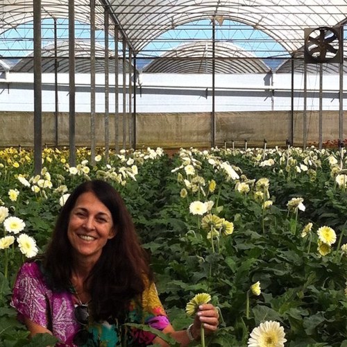 LaurentinaSales's profile picture. Médica e eterna aprendiz