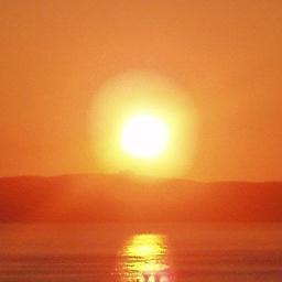 CCBEstepona's profile picture. 