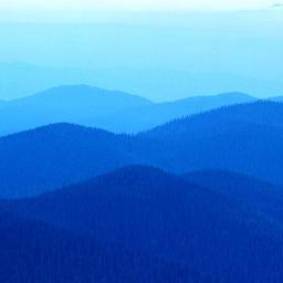 indeyeah's profile picture. Build your tribe to survive.  India and then the World.