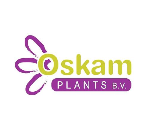 Export top quality plants to England, Ireland, France and Slovakia.
http://t.co/YcvJnnqR