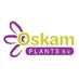 Oskam Plants B.V. (@oskamplantsbv) Twitter profile photo
