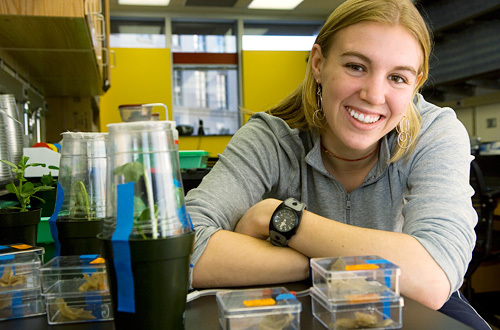 AliCatDreamer's profile picture. Adventurer, scientist, artist, lover, creator.