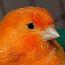 OlympiaOrange's profile picture. Fresh vintage and Now decor nestled in the heart of downtown Olympia, located Courtyard Antiques @ 705 E. 4th Ave., open 7 days a week from 10am-6pm.