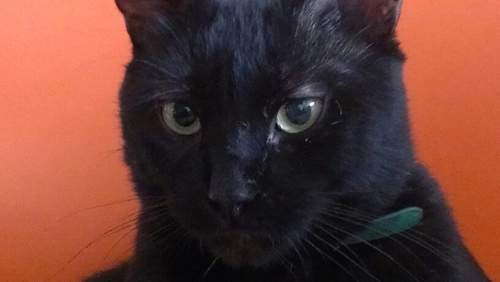 dorisabaptistat's profile picture. 