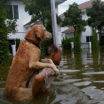 ┃ Colliens
┃Male
(*)┃sagitarius
┃4 May 2003