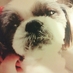 マロン (@maron32000) Twitter profile photo マロン (@maron32000) Twitter profile photo