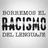 Borremos el racismo 