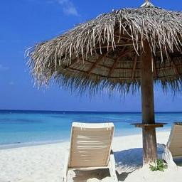 Bteixeira23's profile picture. Bom Jovem 1,66 m de Altura, 98% romantico Solteio a procura de seu Verdadeiro Amor