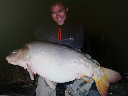 carpy66m's profile picture. 