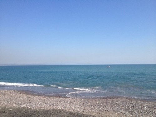 TorresvccJORGE's profile picture. 