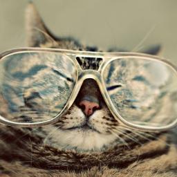 JS88888's profile picture. 