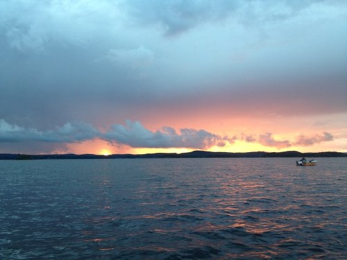 skarv1s's profile picture. 