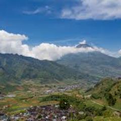 A freelance travel writer who writes mainly about possible trips to Elsalvador and best attractions.