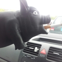 patrick brophy - @Paddyb71Patrick - Twitter