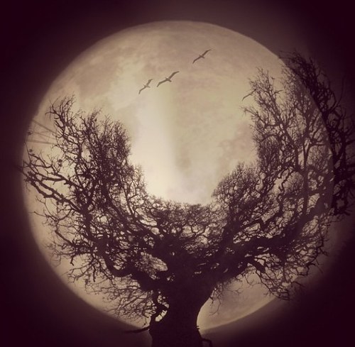 To8_k's profile picture. 