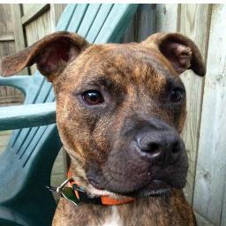 HeardALoon's profile picture. IR @ AMPL. SAAS & AI. Hokies & Jam bands