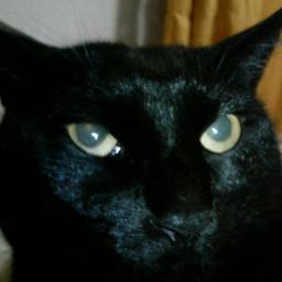 😽一期一会。フォローは、何かの縁で出会った人を中心にしてます。