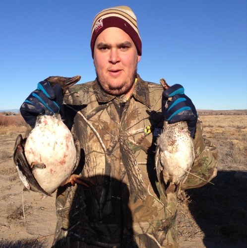 tiddleygibbon's profile picture. 