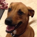 Frank Hamel - @frank_hamel - Twitter