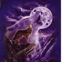 Wolf  singer - @jcsd85 - Twitter