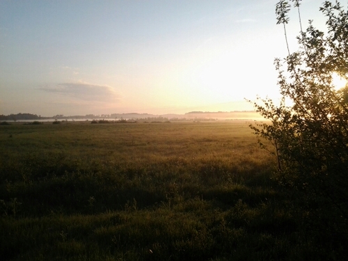 Gubbenasch's profile picture. 