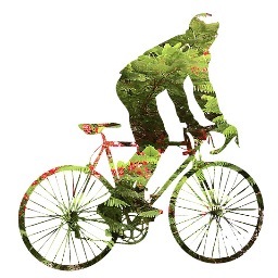 PlantonMovil's profile picture. El bosque que camina reclamando su espacio y respeto en la ciudad.