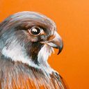 Brian Reel - @lateris1969 - Twitter