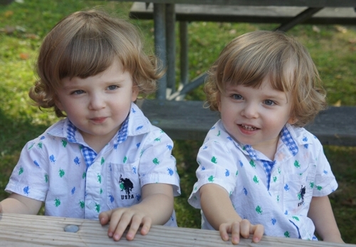 KelseyBraun's profile picture. Father of four beautiful girls and identical twin boys. Computer Technician. Softball 3rd Baseman. Show Dogs.