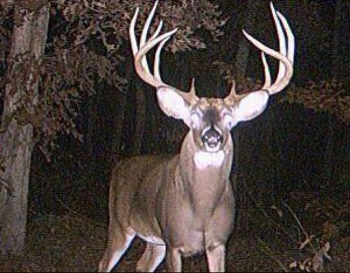 hunterhamby's profile picture. 