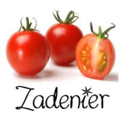 Niets smaakt lekkerder dan zelf geteelde groente en kruiden uit eigen tuin. Zadenier levert groente-, kruiden- en fruitzaden voor de moestuin.