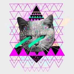 GynParasol's profile picture. 