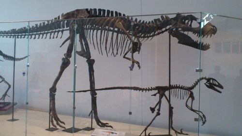 CPOS77's profile picture. COMO SE ME DA LA GANA