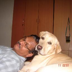 AkellaKrishna's profile picture. 