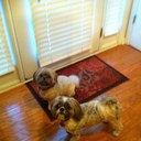 Pam Ervin - @MariaErv1 - Twitter