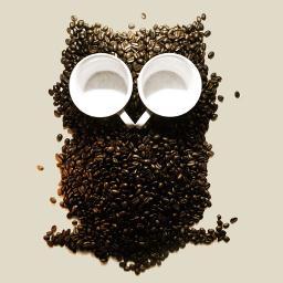 We provide a cool place to hang out, hot air roasted coffee, and specialty confections.
The 5 O'clock Cafe, where early birds and night owls go to nest!