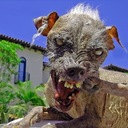 Dylan Moses - @dmoses1976 - Twitter