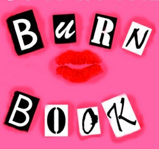 TheOnlyBurnBook's profile picture. You let it out, Honey. Put it in the book.