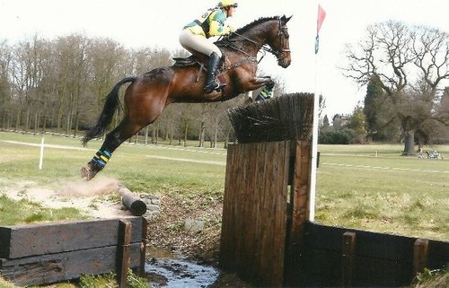 marthathomas91's profile picture. Eventing, medical engineering, etc.