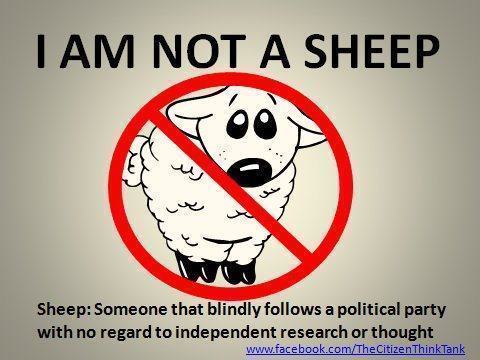 WeAreN0tSheep's profile picture. 