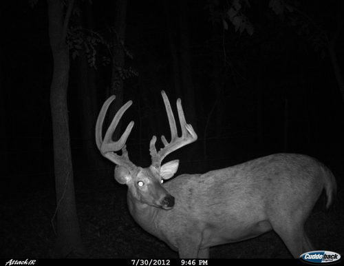 Hunting_So_IL's profile picture. Hunting Southern Illinois is a page dedicated to all of the great hunters in our region.  Please visit our Facebook page as well.