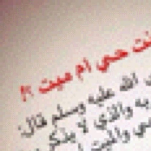 حگمة رآئعہ إجعلہآ شعآر حيآتگ: ''[ لآ تقدم للہ مايگره وتطلب منـہ ماتحب ]'' ••