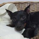 Frank Samudio Naar - @FrankSamudio - Twitter