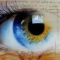 didino61's profile picture. XXXXX !!!