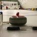Curling Humor (@curlinghumor) Twitter profile photo