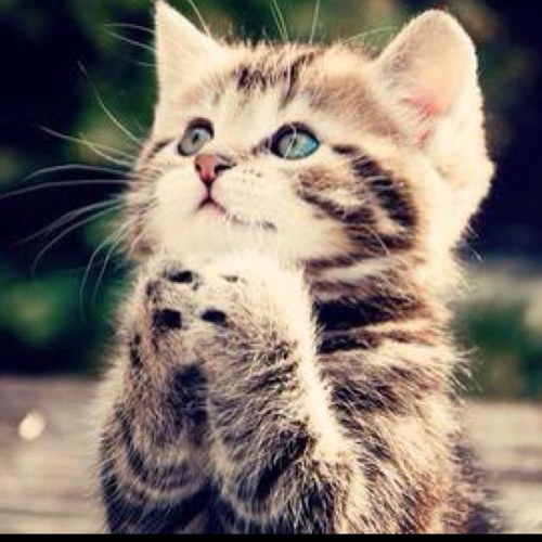 Tefutefu_2's profile picture. 古参ラブメイトwでASH&D箱推し。ラブレターズKOC2024優勝🏆おめでとう😭🎉 ゆる審神者10年目。QuizKnock箱推しのふくらP最推し✨👓と可愛いは正義。クイズ大会ゆる参加。ほぼ観るクイ勢。楽しくクイズと関わりたい。AQLサポーターズ。最近麻雀好き。KONAMI麻雀格闘倶楽部の伊達ちゃん・寿人推し。