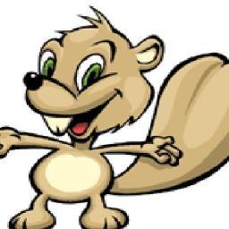 sosigoesquilos's profile picture. se eu te sigo eh porque vc eh um esquilo selvaje