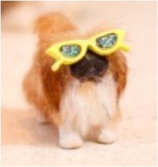 A Perky Pekingnese Rescue with Cat Eye Glasses.                                          Read my story, Sassafrass Jones and The Search for a Forever Home