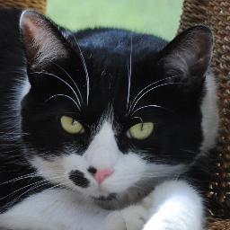 mx5d's profile picture. Eat Real Food! Strength train and hike/sprint! Sew, Quilt, Read!