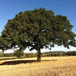 Wife and mother of two living in a Herefordshire village, part-time worker, loves singing, scouting and walking the dog!